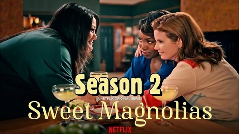 Why Was Season 2 Canceled On Sweet Magnolias?