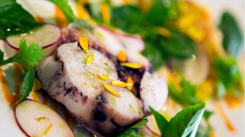 Gastronomic trips and the best destinations