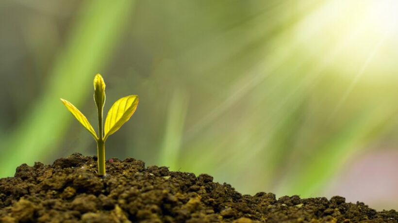 How to Market an Eco-Friendly Business