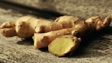 Does Ginger Increase Testosterone