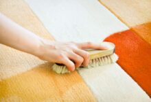 Clean a Disgusting Carpet by Hand