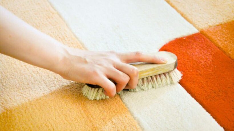How to Clean a Disgusting Carpet by Hand