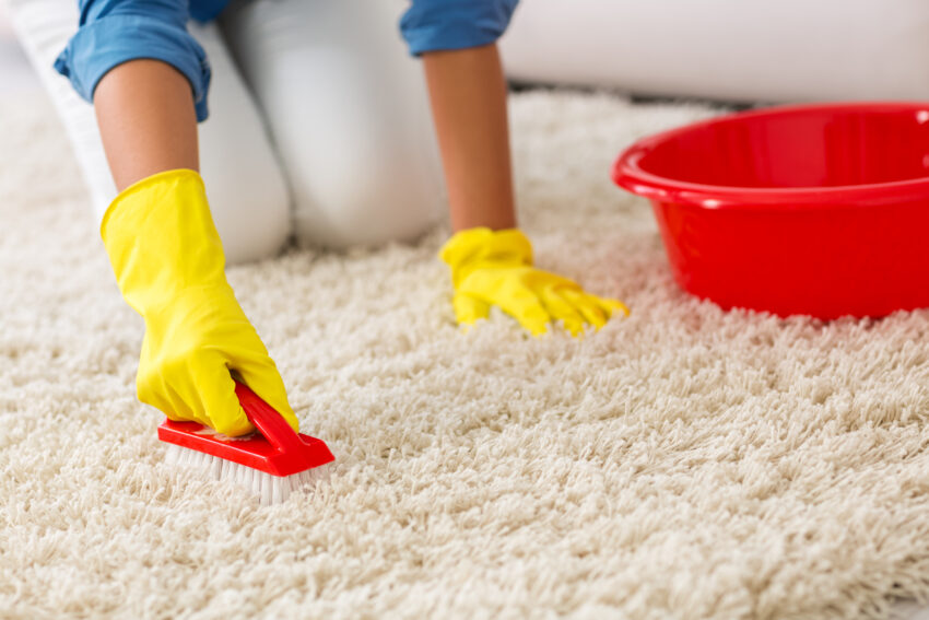 Clean a Disgusting Carpet by Hand