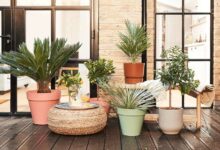 How do I keep my potted plants from falling over the outside?