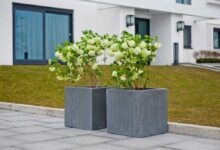 Why is biomimicry important for the future of architecture