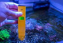 Aquarium Water Parameters Understanding pH, Ammonia, and Nitrite