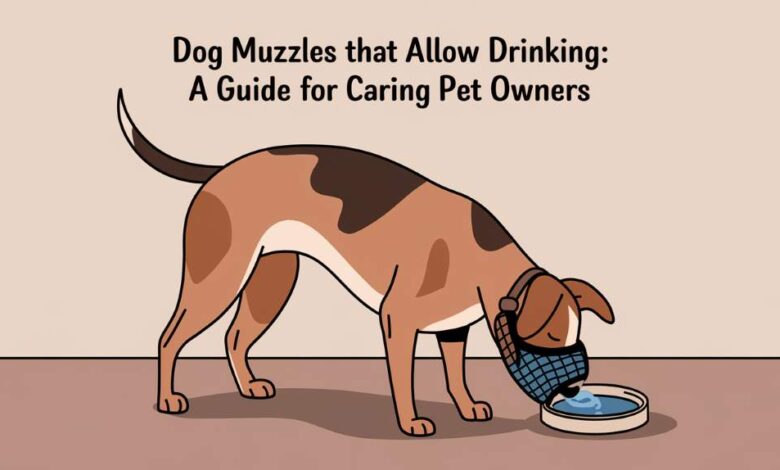 Dog Muzzles That Allow Drinking