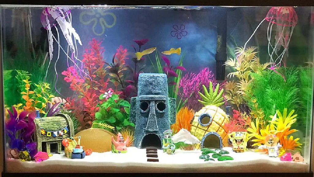 Is PETG Safe for Fish and Corals