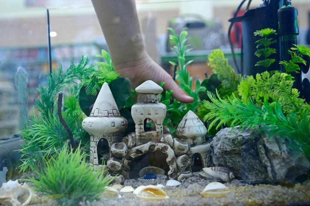 What’s the best size tank for beginners