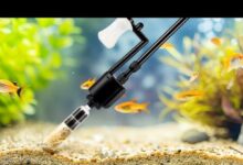 Top tools and products for sparkling clean reef aquariums review youtube