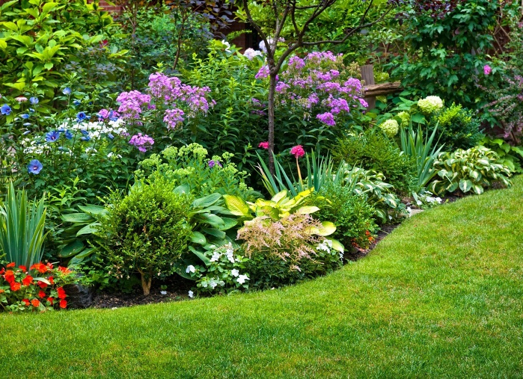 How much shade is enough for heat-sensitive plants in Dallas