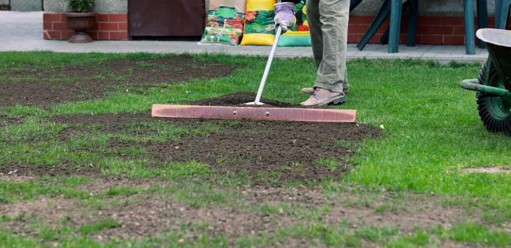 Benefits of Topdressing with Compost