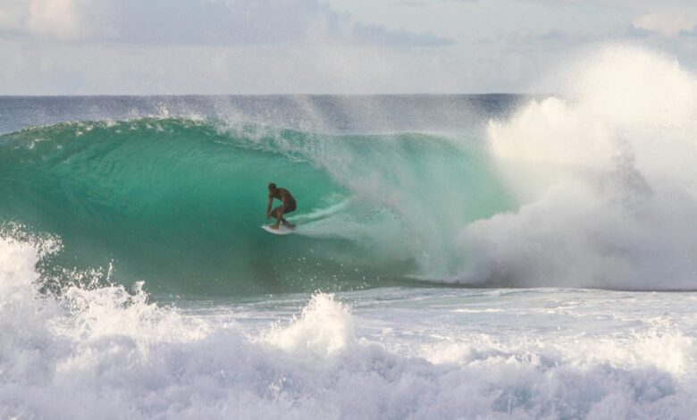 How fast can budget electric surfboards go?