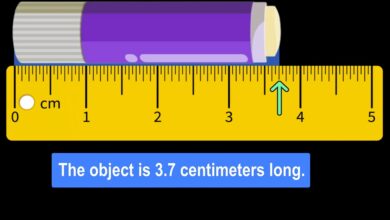 What Does 3/8 Look Like on a Ruler - Library Innovation