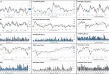Historical stock market data charts showing decades of price movements and trading volumes for financial analysis