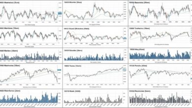 Historical stock market data charts showing decades of price movements and trading volumes for financial analysis
