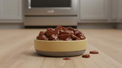 Appetizing bowl of Pedigree wet dog food beef flavor with visible chunks