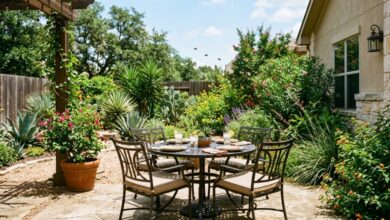 House flies buzzing over a sunny patio table in a Texas backyard.